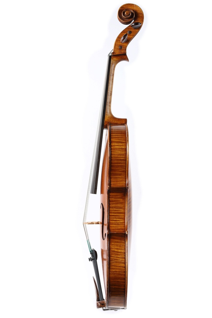 Violaページ VA300 Student viola in all sizes | Motif Music Limited